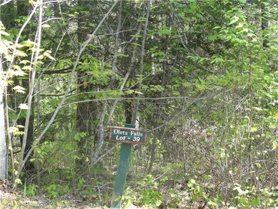 Lot #39 4.39 wooded acres