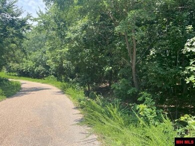 3721 Thousand Oaks Dr, Yellville, AR 72687 - photo 6