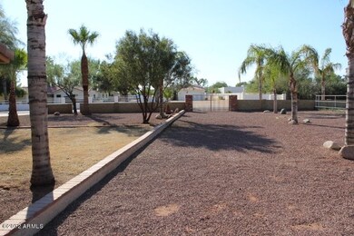 HORSE ENTRANCE