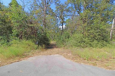 0 Shadeville Rd, Crawfordville, FL 32327 - photo 7