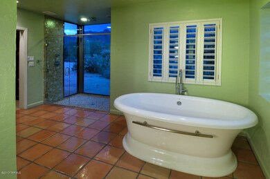 Jet Tub and Shower with a view!