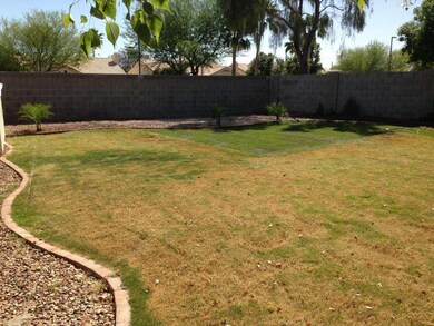 8 Page Backyard