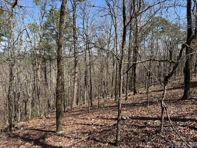 0 Fox Ridge Rd unit 25010505, Little Rock, AR 72223 - photo 4