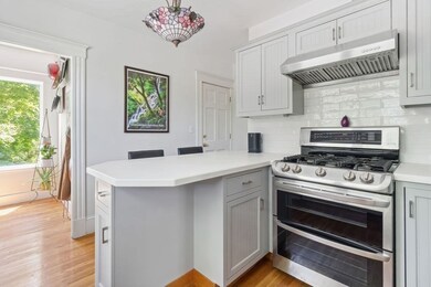 20 Wachusett St unit 2, Jamaica Plain, MA 02130 - photo 6
