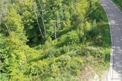 20 Fresh Tracks Way unit 20, Mansfield, NY 14731 - photo 7