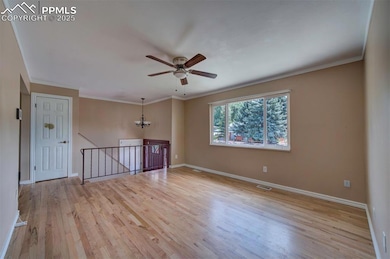 154 Kilgore St, Colorado Springs, CO 80911 - photo 5