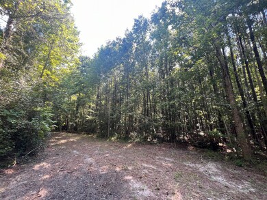 0 French Santee Rd unit 24022267, Jamestown, SC 29453 - photo 3