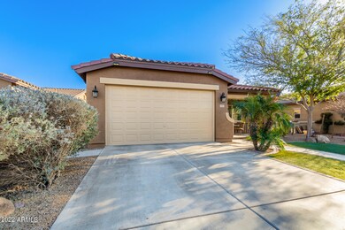 1025 W Empress Tree Ave, San Tan Valley, AZ 85140 - photo 2