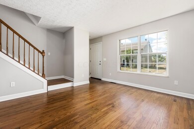 Entry into Living Room