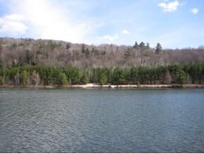 view from other end of pond