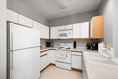 9012 Sawgrass Glen, Osseo, MN 55311 - photo 4