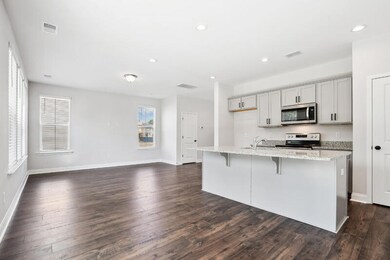 Kitchen and Great room
