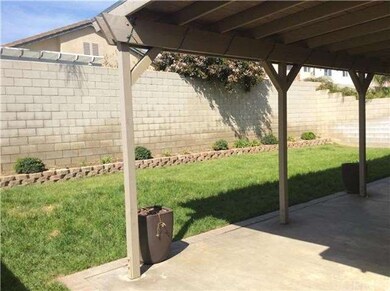 Back yard