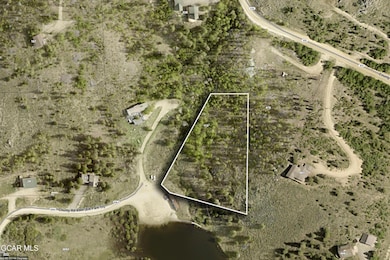 113 Elk Park Trail, Tabernash, CO 80478 - photo 3