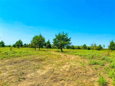 TBD Fm 2555, Corsicana, TX 75110 - photo 6