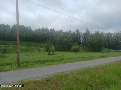 Tr C S Margaret Dr, Palmer, AK 99645 - photo 3