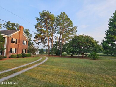 Side - Back yard