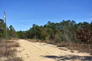 Canary Way 03