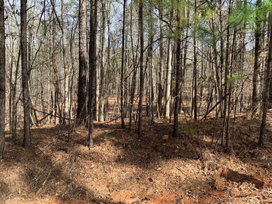 0 N Rivoli Farms Dr unit 143897, Macon, GA 31210 - photo 4