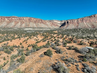 0 Tbd unit 42825, Paradox, CO 81429 - photo 6