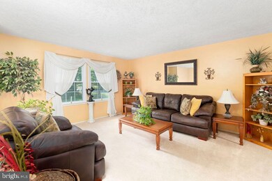 3400 Hawthorne Rd, Fredericksburg, VA 22407 - photo 5