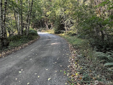 14413 109th St SW, Gig Harbor, WA 98329 - photo 3