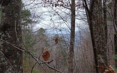 LT 30 Saw Blade Ln, Ellijay, GA 30540 - photo 2