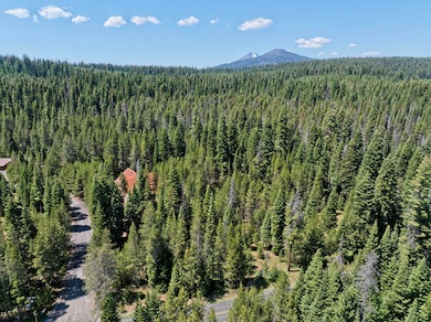 DJI_20250630152333_0282_D copy