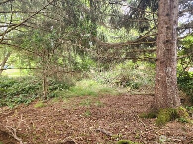 772 Island Cir SE, Ocean Shores, WA 98569 - photo 4