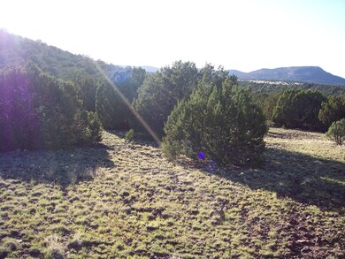 LOT 5