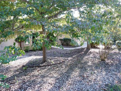 This is the perfect yard for someone who doesn't want to have to mow.