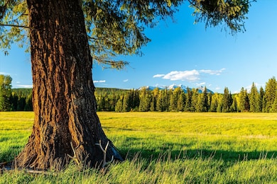 8500 N Fork Rd, Polebridge, MT 59928 - photo 7