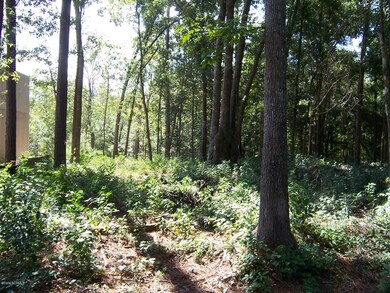 lot 6 Gooseneck Road 003