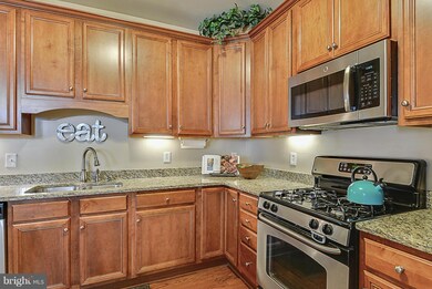 41957 Blue Flag Terrace, Stone Ridge, VA 20105 - photo 4