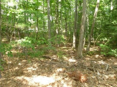 00 South St, Ogunquit, ME 03907 - photo 4