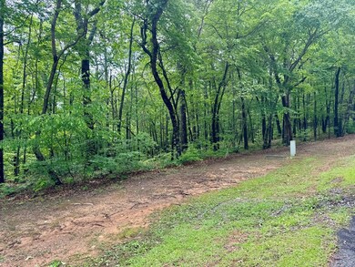 Lot 94 Doll Mountain Rd, Ellijay, GA 30540 - photo 7