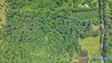 9.0 County Road 122, Fort Payne, AL 35968 - photo 7