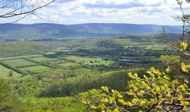 Bluff View, B6, view photo, a