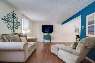 Living Room (additional view)