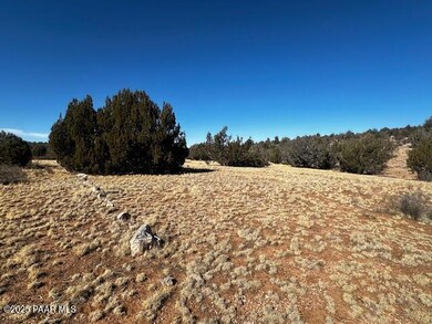 32412 Ancho Rd, Seligman, AZ 86337 - photo 4