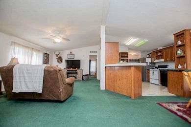 605 Whooping Creek Rd, Carrollton, GA 30116 - photo 3