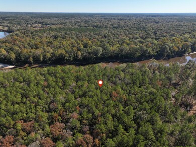 Old_Hwy_24_W_Lot_22-6