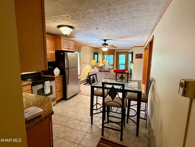 143 E Valley Point Ln unit 1323, Claysburg, PA 16625 - photo 5