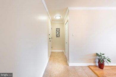 27 Canterbury Square unit 302, Alexandria, VA 22304 - photo 3