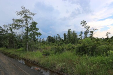 Additional View
