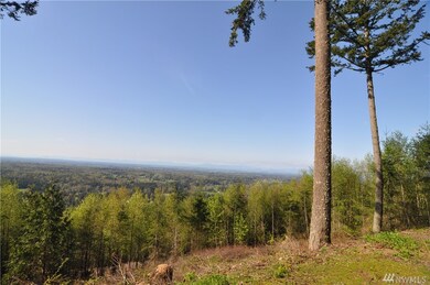 41 Bray Way, Bellingham, WA 98226 - photo 7