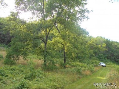 Partial road to clearing