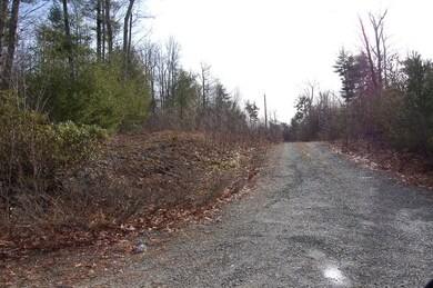 Lot 31 Scripps Ln, Mason, NH 03048 - photo 4