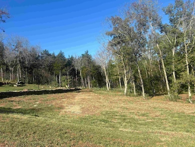 View of local wilderness