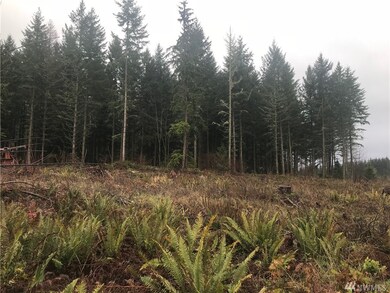 0 Kinsman Ct E unit 1395445, Roy, WA 98580 - photo 5